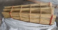 Bambo ladder / bamboo stick for clematis