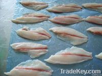 Reef Fish Fillets