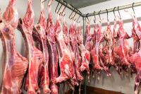 Duck Meat, Rabbits Meat, Goat Meat, Buffalo Meat From Pakistan