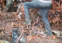  Millberry Copper Scrap| Copper Scraps Suppliers | Copper Scrap Exporters | Copper Scrap Manufacturers | Cheap Copper Scrap | Wholesale Copper Scraps | Discounted Copper Scrap | Bulk Copper Scraps | Copper Scrap Buyer | Import Copper Scrap | Copper Scrap 