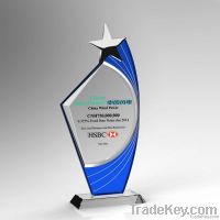 New Design Blank Star K9 Crystal Award