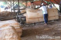 ROTARY CUT VENEER