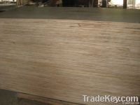 1220mmx2440mm KERUING PLYWOOD