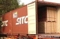 Container Plywood