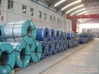 gi steel coil/sheet
