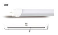 LED T8 Tube Light