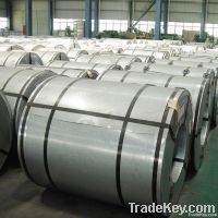 Prime Hot-dipped Galvanzied Steel Coils