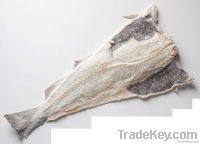 Bacalao