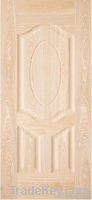 Door skin