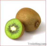 kiwi hayward