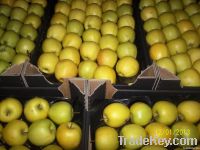 https://cn.tradekey.com/product_view/Apples-Golden-Delicious-4779905.html