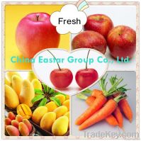 1-MCP, 1-Methylcyclopropene