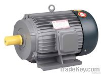 Y three phase induction motor/ac motor