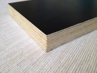 Black Marine Formplywood