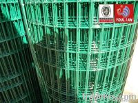 PVC Coated Welded Mesh(Factory&Exporter) From China