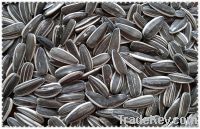 Chinese sunflower seeds 5009