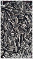 SUNFLOWER SEEDS 5009