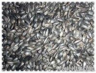 oil sunflower seeds