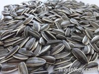 SUNFLOWER SEEDS 5009