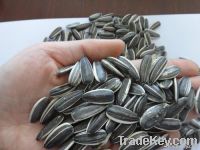 sunflower seeds market price