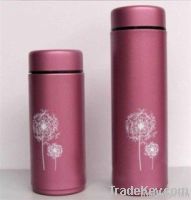 Stainless steel vacuum flask/thermos