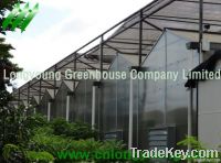 Polycarbonate Greenhouse