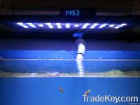 Newest 90cm 48*3w led dimmable aquarium lights for reef corals