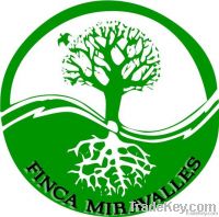 Finca Miravalles Elite14