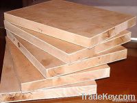 China blockboards poplar core with red cedar faced