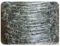 Barbed Iron Wire