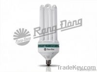 Compact Fluorescent Lamp (CFL Light)