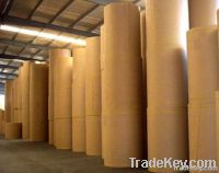 Kraft Liner Paper