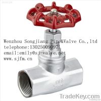 Globe Valve