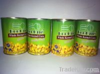 Canned Sweet Corn/Canned Food/Canned Grain/Canned Beans