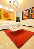 Monotone Floor Decoration Dust Control Rug