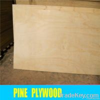 bb/cc grade best quality pine plywood