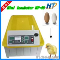 mini chicken egg incubator