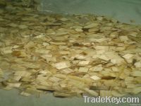 https://cn.tradekey.com/product_view/Acacia-Woodchip-For-Paper-Pulp-4790279.html
