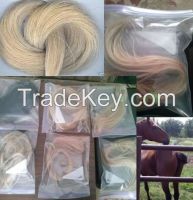 Horse Hair For Sale