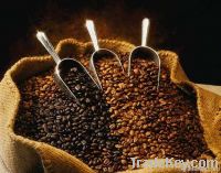 Robusta Coffee Beans