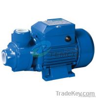 Peripheral Water Pump