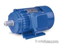 Y series three phase induction motor