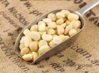 Macadamia Nuts