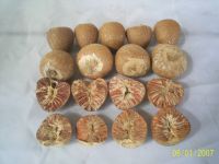 Betel Nuts, Betel Nuts in Shells, Betel Nuts  Whole Dried 70% - 75%