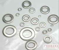 Titanium Gasket