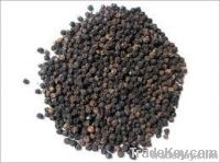 Black Pepper