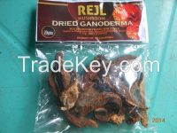 Dried Ganoderma Mushrooms