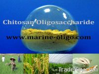 Agriculture Grade Chitosan Oligosaccharide