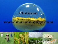 Algriculture Grade Chitosan