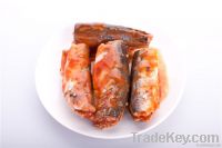 caned Mackerel in brine or tomato paste